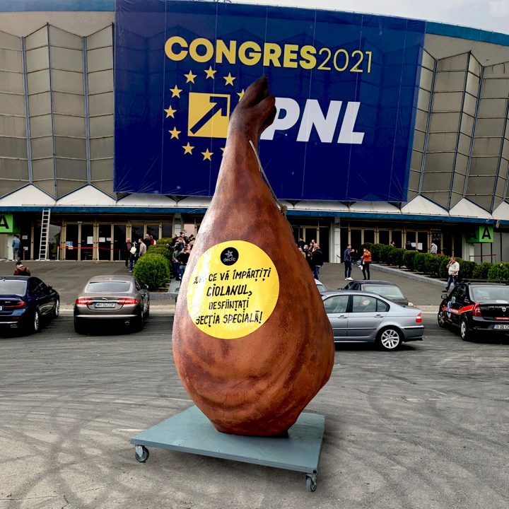 (Video) Un ciolan uriaș a fost amplasat, în semn de protest, la Congresul PNL. Nici lui Dragnea nu i-au făcut așa 1