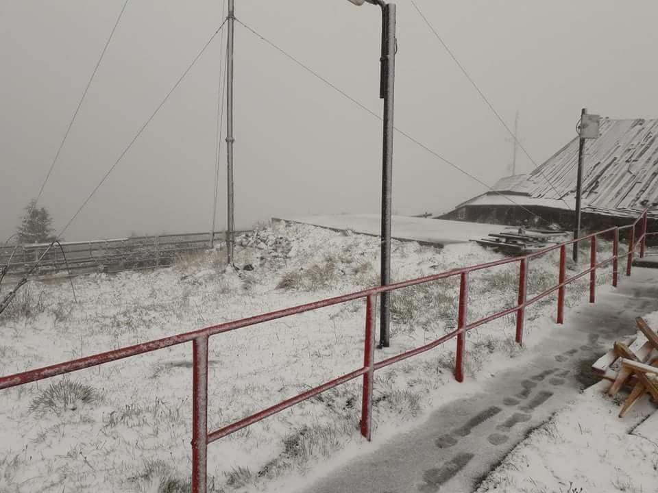 Video Brașov. NINGE în Poiana Brașov! 3