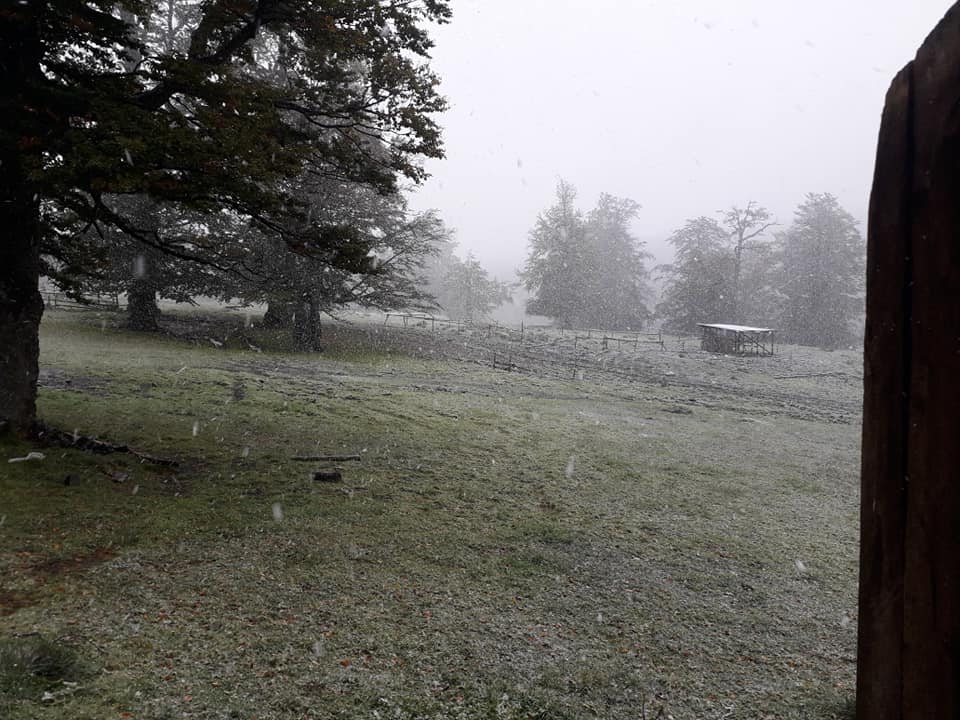 Video Brașov. NINGE în Poiana Brașov! 8