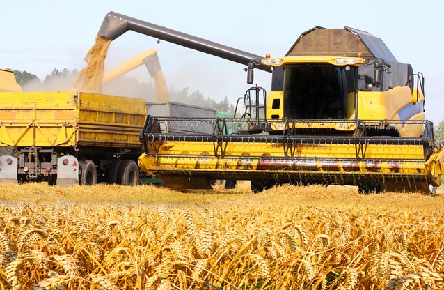 Record. România este al doilea mare exportator de grâu din UE și lider incontestabil la exportul de porumb 1
