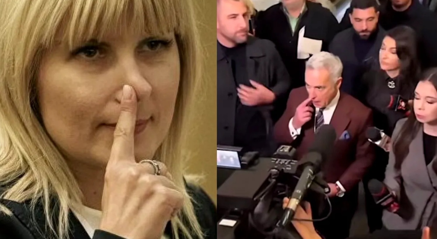 Gest cu mesaj secret? Călin Georgescu și-a dus degetul la nas înainte de întâlnirea cu Horațiu Potra. Ce spunea Elena Udrea despre semnificația acestui gest. Potra, în cătușe; Georgescu, flancat de bodyguarzi 1