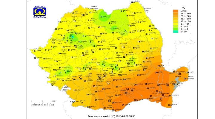 Video Brașov. NINGE în Poiana Brașov! 11