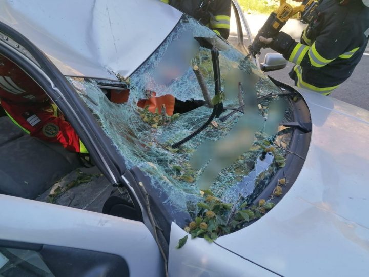(Foto) Șoferiță rănită grav după ce o creangă a intrat prin parbrizul mașinii și i s-a înfipt în bazin 1