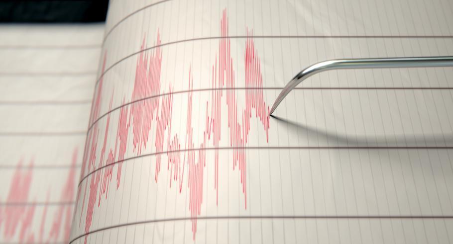 Cutremur puternic în România. L-ai simțit? Ce spune Institutul Național de Cercetare-Dezvoltare pentru Fizica Pământului: 1