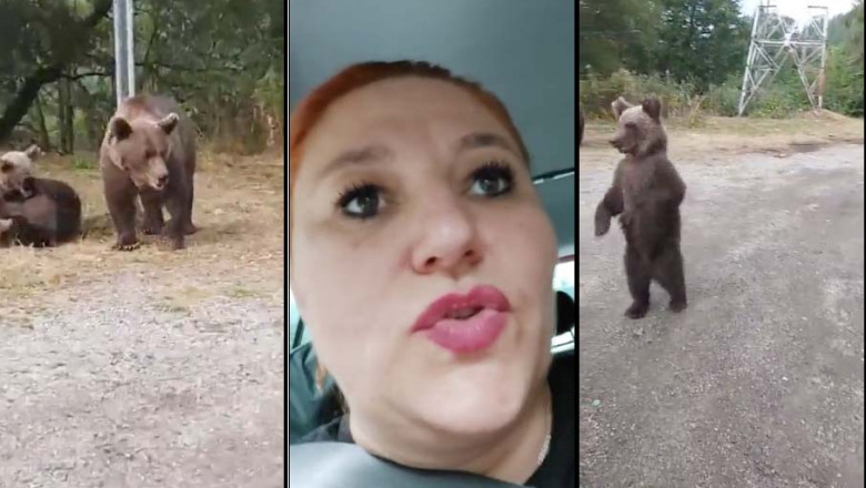 (Video) Diana Șoșoacă speriată de urșii de pe Transfăgărășan. „Fugi de acolo, Silviu!". 1
