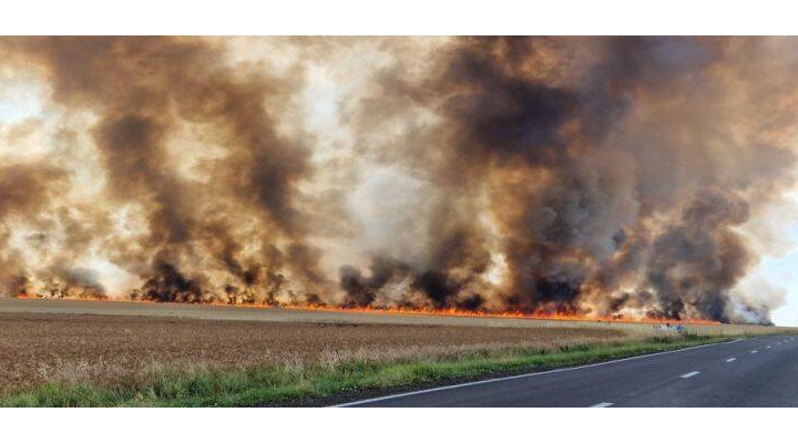 (Video) Ne arde mâncarea! Au ars 100 de hectare de grâu numai bun de recoltat. Flăcări înalte de câțiva zeci metri 1